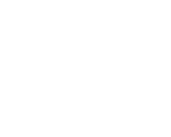 PMZ CAPITAL